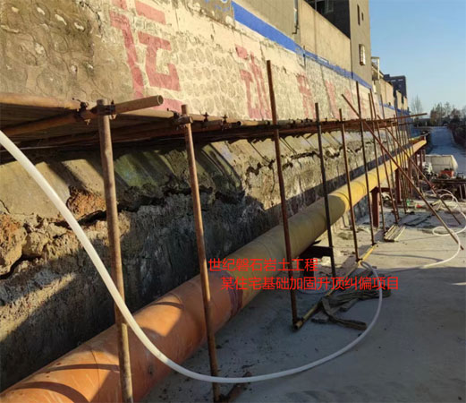 东丽基础加固升顶纠偏项目